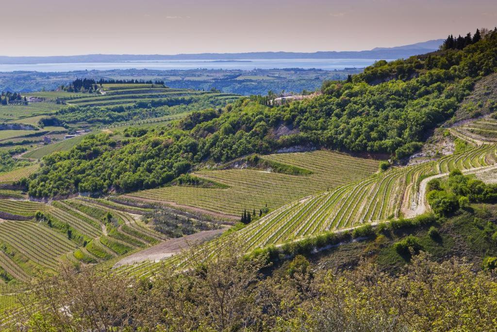 La Grande Casa Valpolicella Bed & Breakfast Sant'Ambrogio di Valpolicella Ngoại thất bức ảnh